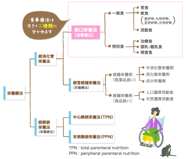 栄養補給法体系図