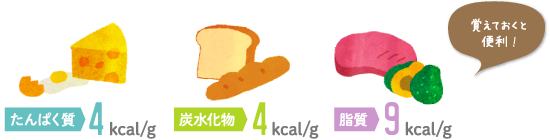 たんぱく質4kcal/g　炭水化物4kcal/g　脂質9kcal/g