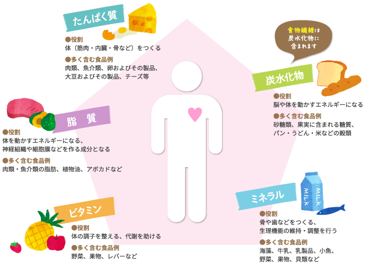 5大栄養素の役割