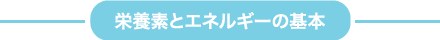 栄養素とエネルギーの基本