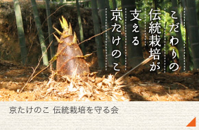 京たけのこ 伝統を守る会［小川 修司さん］