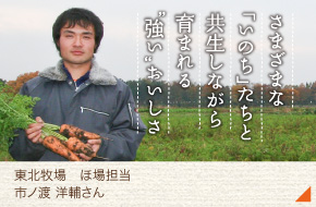 東北牧場 ほ場担当［市ノ渡 洋輔さん］