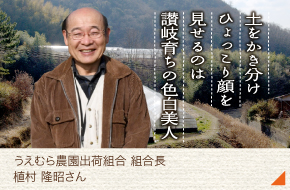 うえむら農園出荷組合 組合長［植村 隆昭さん］