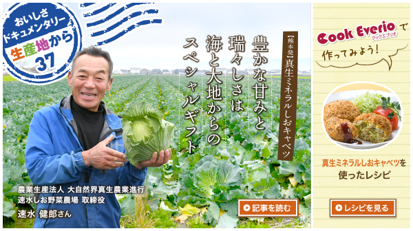 生産地から Vol.41