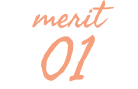 merit 01