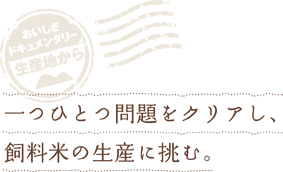 日本一の高値で取引されて「光樹とまと」の名が全国区に!