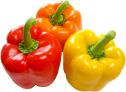 サラダパプリカ　アラカルト