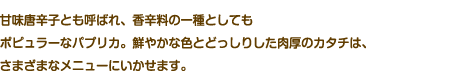 甘味唐辛子とも呼ばれ、香辛料の一種としてもポピュラーなパプリカ。鮮やかな色とどっしりした肉厚のカタチは、さまざまなメニューにいかせます。