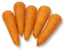 有機にんじん
