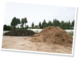 右が馬房から出したばかりの敷き藁、左が1年後の敷き藁。