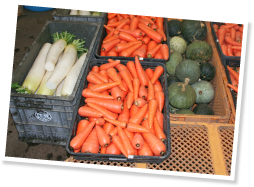 栽培・収穫・梱包・発送まで、すべて牧場スタッフの手で行われ、全国各地の&ldquo;家族&rdquo;のもとへ届けられる。