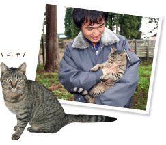 牧場では十数匹のネコが飼われている。畑にやってくるヒメネズミを退治してくれる、頼れるスタッフだ。