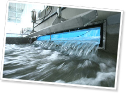 時間になると流水ゲートが開いて水が循環。水槽全体をかき回す人工の波を作る。