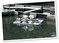 池にはさまざまな工夫が施されている。