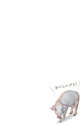 トラクターで土を掘り起こしてから、手作業でつるを引っ張って収穫する。