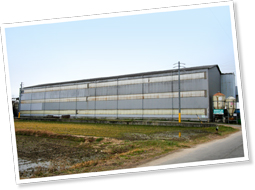 3階建ての豚舎は珍しく、海外から視察団が来ることもしばしばだとか。