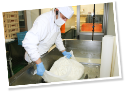 以前はなかった工程だが、塩分を減らすために新たにプラスした「手絞り」作業。