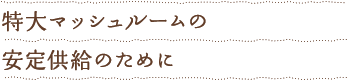 特大マッシュルームの安定供給のために