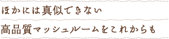 他には真似できない高品質マッシュルームをこれからも
