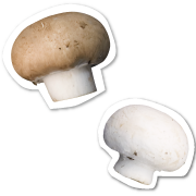 マッシュルーム