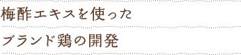 梅酢エキスを使ったブランド鶏の開発