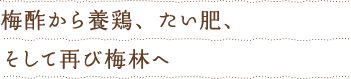 梅酢から養鶏、たい肥、そして再び梅林へ
