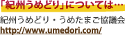 「紀州うめどり」については&hellip;　紀州うめどり・うめたまご協議会　http://www.umedori.com/