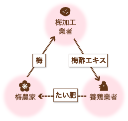 梅加工、養鶏、梅農家。それぞれが他産業への資源を提供することで、地域循環型の農業に。