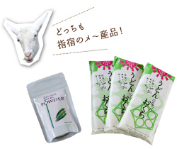 （左）規格外のオクラを粉末に加工した「オクラパウダー」。パン、カレー、お好み焼きに入れるなど用途は広い。（右）オクラパウダーをうどんに練り込んだ「おくらうどん」。