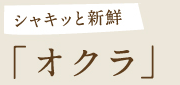 シャキっと新鮮　オクラ