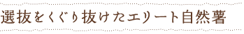 選抜をくぐり抜けたエリート自然薯