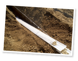 種芋は腐りやすいので、病気などから新芋を守るため、ダクトと呼ばれる筒の中で育てられる。