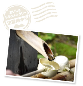 文四郎麩の敷地内に涌き出す「六田水」。参勤交代で訪れた秋田の佐竹藩主にも気に入られ、「佐竹水」と呼ばれたほどの名水。