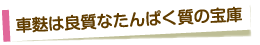 車麩は良質なたんぱく質の宝庫