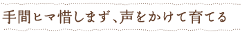手間ヒマ惜しまず、声をかけて育てる