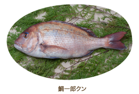 鯛一郎クン
