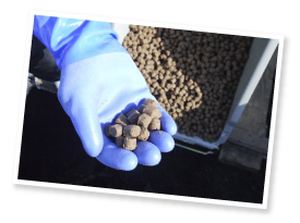 オリジナルのエサは現在４種類。水温、酸素濃度、鯛一郎クンの食べっぷりを見て使い分けている。