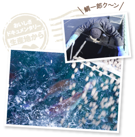 「おはよう、鯛一郎クン、エサをあげるからね」と声かけ。冬は食欲や消化能力が低下するので、エサを与える際に細心の注意を払う。