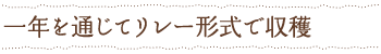 一年を通じてリレー形式で収穫