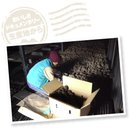 収穫した生子や2年もののこんにゃく芋は、12〜4月半ばまで5〜8℃前後に保った納屋の屋根裏で越冬する。一日中囲炉裏に炭と籾糠をくべているため、室内はスモーキーな香りが充満。