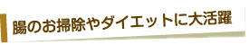 腸のお掃除やダイエットに大活躍