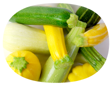 【長野発】阿智ファームのズッキーニ