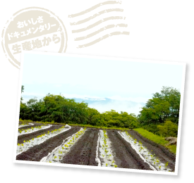 梅雨入りしたばかりの空のもと、雲海から顔をのぞかせた南アルプス。この景色に魅せられた品川さんは、日々移ろう山の表情に癒されているという。