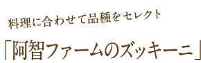料理に合わせて品種をセレクト：阿智ファームのズッキーニ