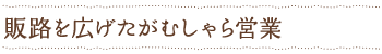 販路を広げたがむしゃら営業