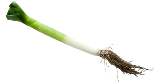 【北海道発】とかちポワロー