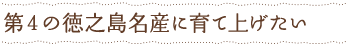 第4の徳之島名産に育て上げたい