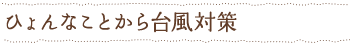 ひょんなことから台風対策