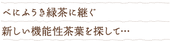 べにふうき緑茶に継ぐ新しい機能性茶葉を探して…
