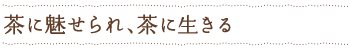 茶に魅せられ、茶に生きる
